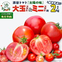 【ふるさと納税】【 2026年 収穫分 先行予約 】 -太陽の味- 渋谷トマト 大玉トマト・ミニトマト詰め合わせ 約2kg 2026年1月5日~発送開始 トマト ミニトマト 茨城 産地直送 農家直送リコピン ビタミン 有機肥料 野菜 甘い 直売所