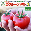 【ふるさと納税】【 2026年 収穫分 先行予約 】 -太陽の味- 渋谷トマト 厳選 フルーツトマト 約1kg 2026年1月5日~発送開始 トマト ミニトマト フルーツトマト 茨城 産地直送 農家直送リコピン ビタミン 有機肥料 野菜 甘い 直売所