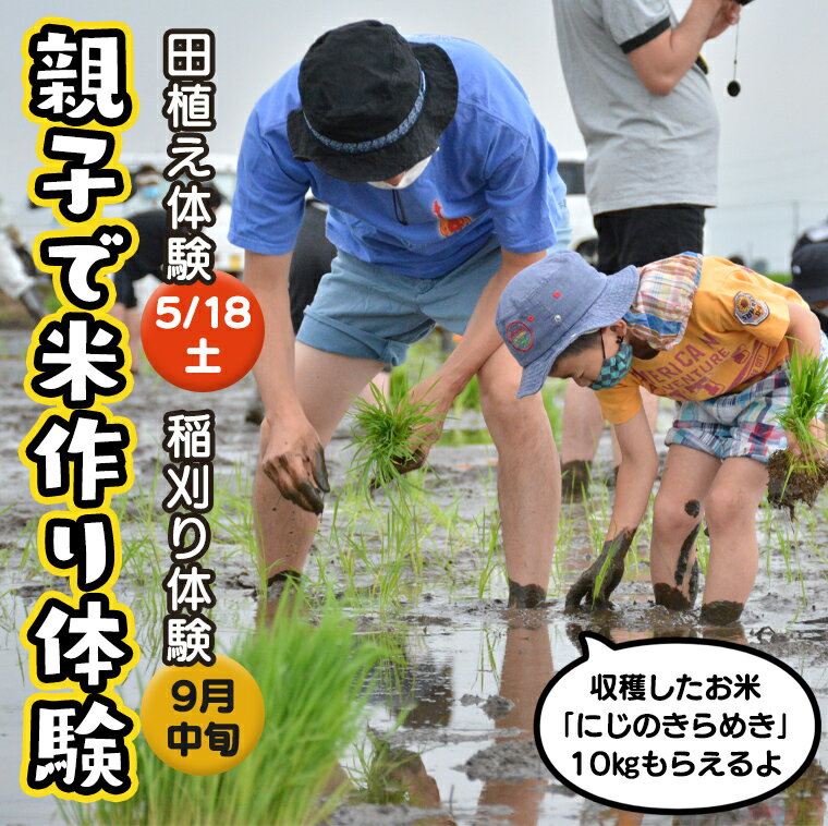 【ふるさと納税】【令和5年5月20日開催予定】 親子で米作り体験（田植え・稲刈り体験） にじのきらめき 10kg付き 体験 にじのきらめき 親子 茨城県 田植え 稲刈りのサムネイル