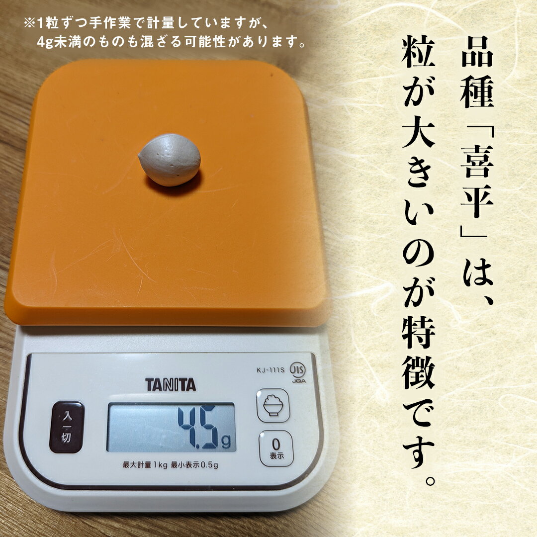 【ふるさと納税】＼ 量や大きさが選べる！ ／喜平ぎんなん 【2025年10月中旬より発送開始】 ぎんなん イチョウ 秋 美味 栄養満点 健康 高血圧予防 むくみ改善 疲労回復 美肌