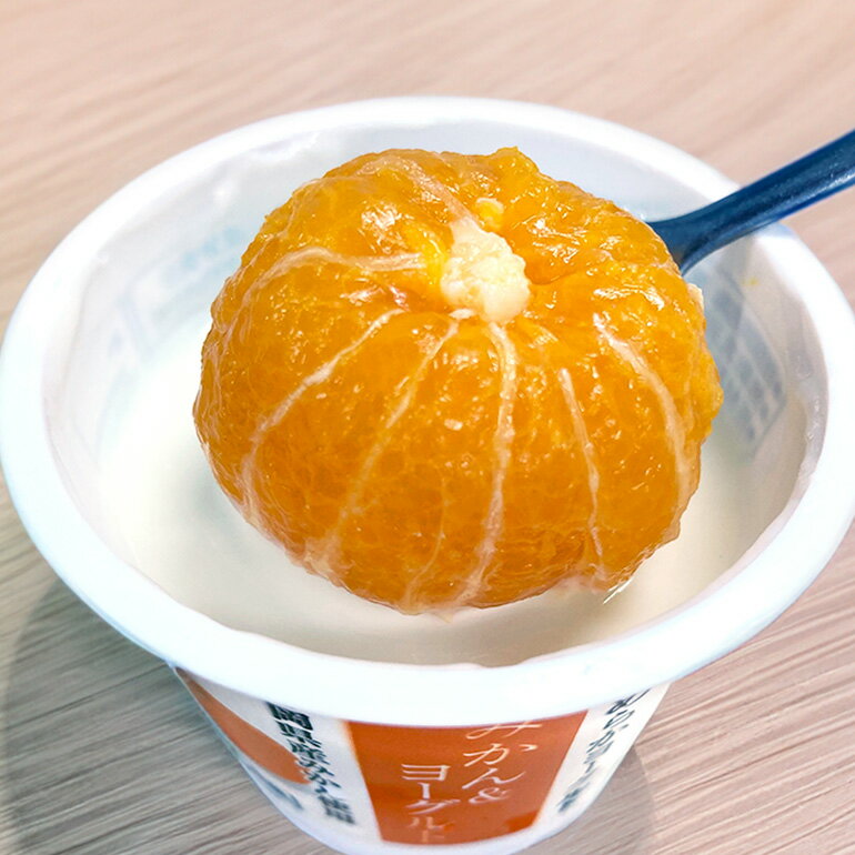 【ふるさと納税】【3回定期便】まるごとみかんヨーグルト 100g×10個 ヨーグルト みかん まるごと 定期便 朝食 朝ごはん 朝活 乳製品 低糖 低カロリー ギフト 誕生日 内祝い スイーツ 腸活 善玉菌 善玉菌ケア 菌活 乳酸菌 1-T