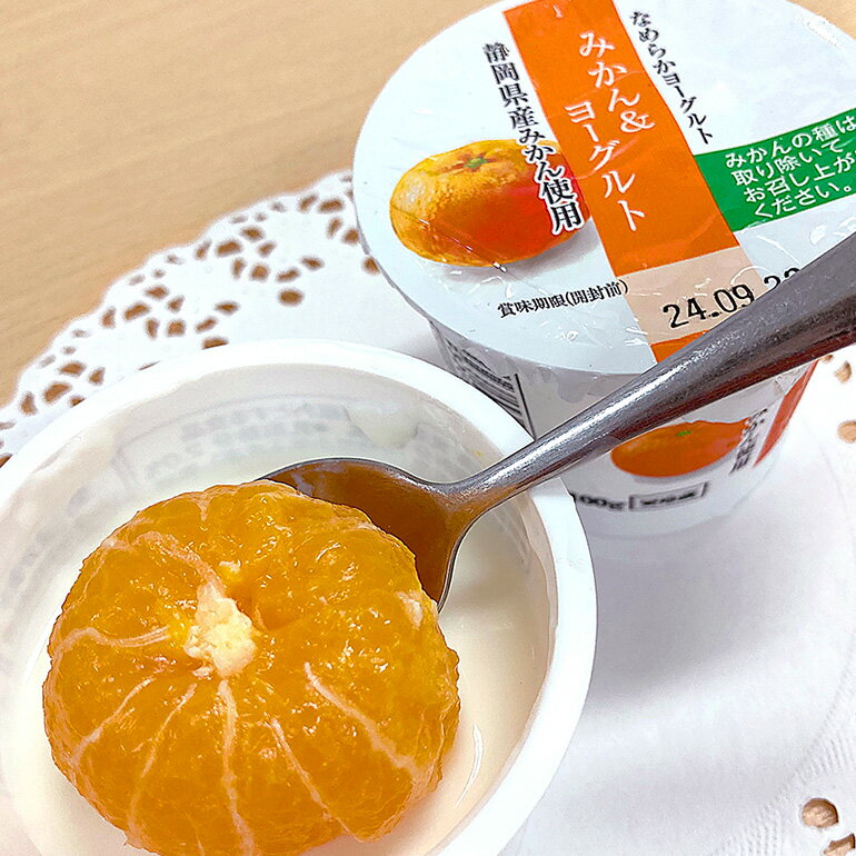 【ふるさと納税】【3回定期便】まるごとみかんヨーグルト 100g×10個 ヨーグルト みかん まるごと 定期便 朝食 朝ごはん 朝活 乳製品 低糖 低カロリー ギフト 誕生日 内祝い スイーツ 腸活 善玉菌 善玉菌ケア 菌活 乳酸菌 1-T