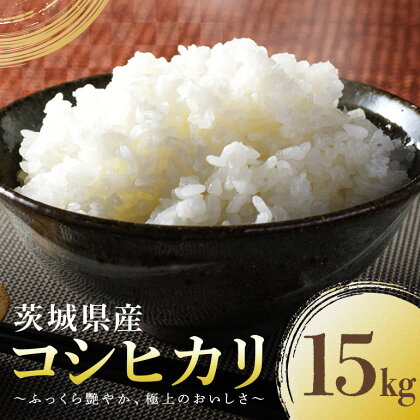 コシヒカリ こしひかり 15kg 米 白米 茨城県産 お弁当 おにぎり 産直 産地直送 新米 精米 47-C