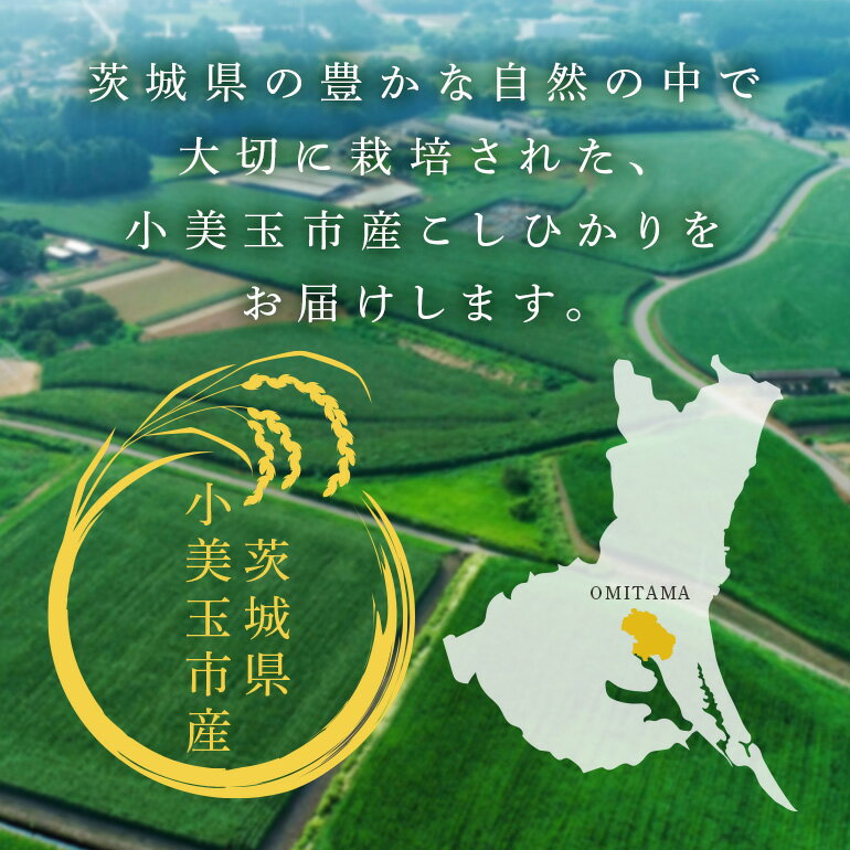 【ふるさと納税】【定期便6回】 コシヒカリ こしひかり 5kg 米 白米 茨城県産 お弁当 おにぎり 47-D