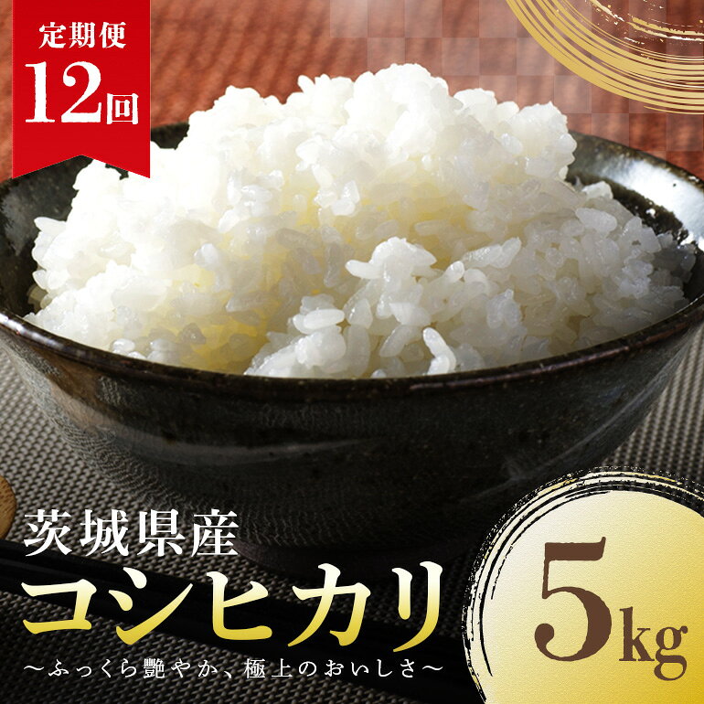 【定期便12回】 コシヒカリ こしひかり 5kg 米 白米 茨城県産 お弁当 おにぎり 47-E