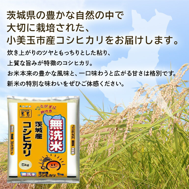 【ふるさと納税】 無洗米 コシヒカリ こしひかり 15kg 米 白米 茨城県産 お弁当 おにぎり エコ 47-L