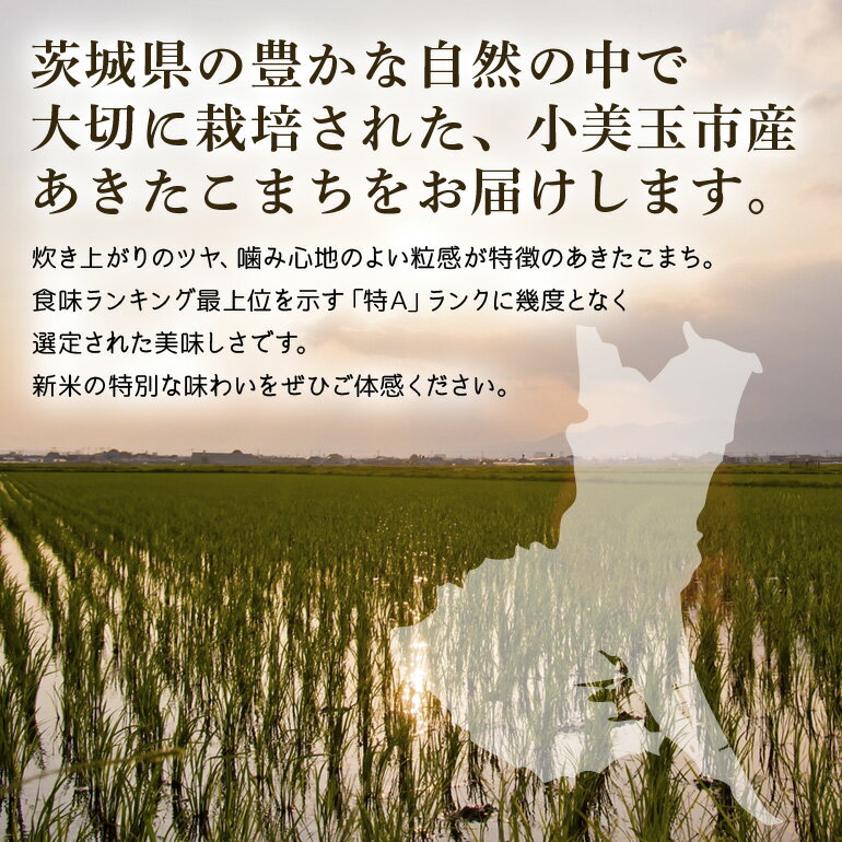 【ふるさと納税】 無洗米 あきたこまち 10kg 米 白米 茨城県産 もっちり お弁当 おにぎり 47-N