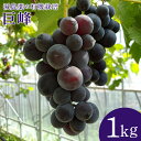 【ふるさと納税】【数量限定・先行予約】 巨峰 1kg ぶどう ブドウ 葡萄 果物 フルーツ 70-E