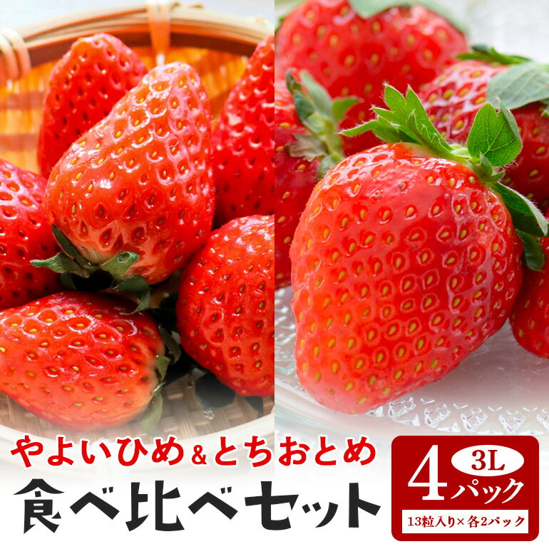 商品説明 商品名 71-G やよいひめ・とちおとめ食べ比べセット 3L（13粒入り）×各2パック 1kg以上 名称 いちご 原産地 茨城県 アレルギー なし 内容量 やよいひめ：3L（13粒入り）×2パック とちおとめ：3L（13粒入り）×...