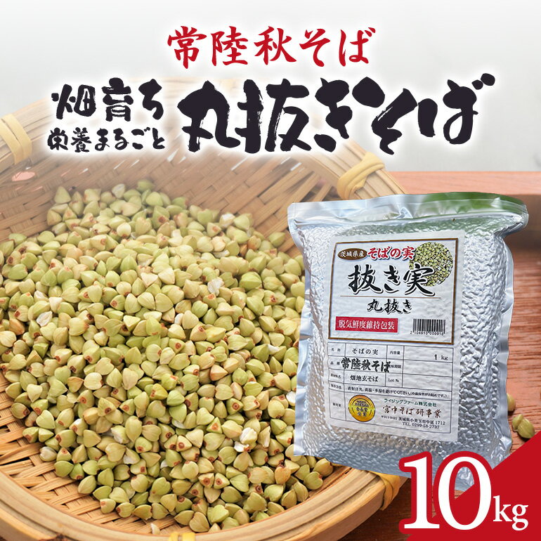 【ふるさと納税】常陸秋そば 畑育ち 栄養まるごと 丸抜きそば 10kg そば 蕎麦 ソバ ブランド 健康 美容 グルテンフリー スーパーフード ギフト 茨城県産 国産 84-D