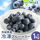 【ふるさと納税】冷凍ブルーベリー 約1kg ブルーベリー 冷凍 フルーツ 果物 くだもの 冷凍フルーツ 冷凍果物 完熟 新鮮 目にいい 健康 美容 人気 ギフト...
