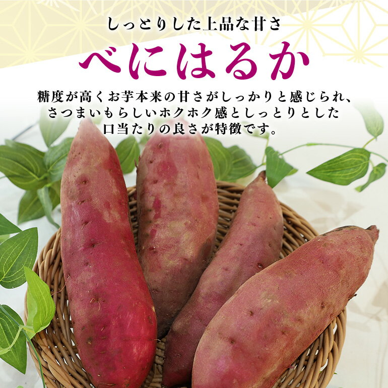 【ふるさと納税】干し芋屋のさつまいも（紅はるか） 5kg / 10kg 熟成 サツマイモ さつま芋 生芋 べにはるか ベニハルカ 国産 茨城県産 箱 直送 やきいも 焼いも 焼き芋 焼芋 おやつ スイーツ作り ケーキ作り スイートポテト 大学芋 大学いも 5キロ 12-S 12-R