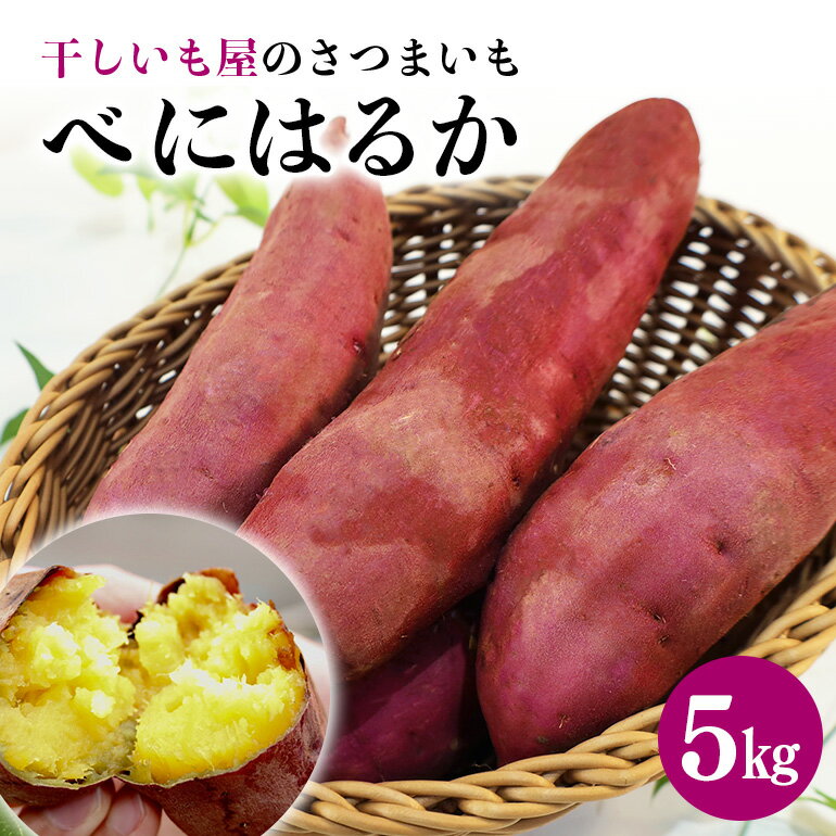 24位! 口コミ数「1件」評価「5」干し芋屋のさつまいも（紅はるか） 5kg / 10kg 熟成 サツマイモ さつま芋 生芋 べにはるか ベニハルカ 国産 茨城県産 箱 直送 ･･･ 