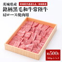 【ふるさと納税】茨城県産銘柄黒毛和牛常陸牛肩ロース焼肉用約500g(茨城県共通返礼品) 冷凍 牛肉 ロース肉 焼き肉 焼肉 黒毛和牛 国産 高級 お祝い 記念日...