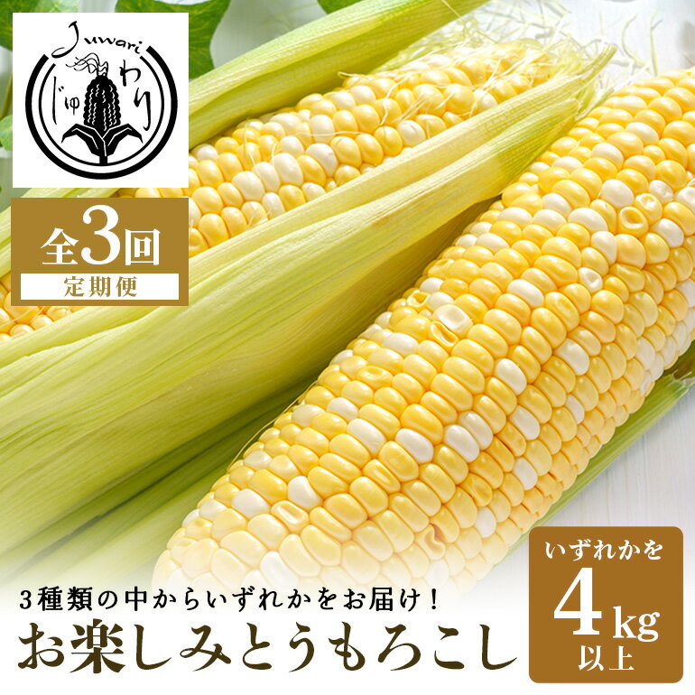 【ふるさと納税】【3回定期便】【Juwari-じゅわり-】お楽しみとうもろこし 4kg以上 野菜 41-G