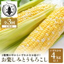 お楽しみとうもろこし　4kg以上 野菜 41-G