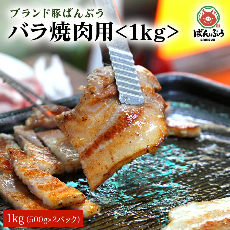 【ふるさと納税】ブランド豚 ばんぶぅ 小分け 豚バラ焼肉用 1kg 500g 2パック 冷凍便 1キロ 豚肉 豚バラ肉 豚バラスライス肉 焼き肉用 やき肉用 やきにく用 ヤキニク用 薄切り肉 うす切り肉 ぶ…