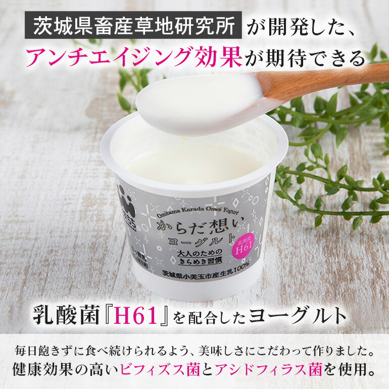 【ふるさと納税】【定期便】 H61 乳酸菌 ヨーグルト からだ想いヨーグルト 選べる 20個×2回 20個×4回 低糖 低カロリー H61乳酸菌 アンチエイジング 健康 老化防止 腸内改善 美容 美肌 敏感肌 乾燥肌 抗酸化作用 1-C 1-O
