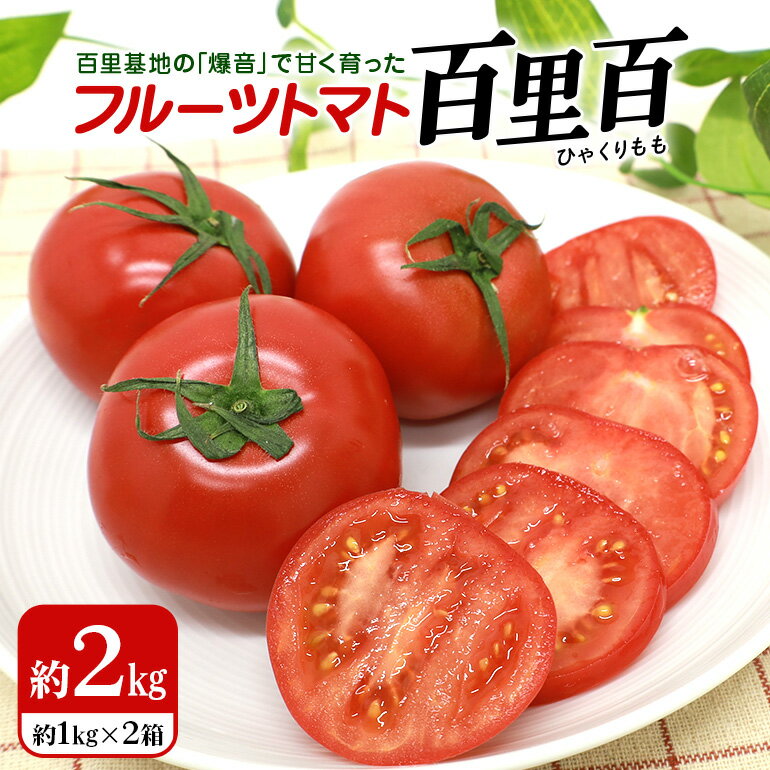 【ふるさと納税】【数量限定 先行予約】 爆音トマトと呼ばれるフルーツトマト「百里百」 2kg 甘い 酸味 肉厚 大玉 産地直送 とまと 健康 リコピン 百里基地 戦闘機 国産 茨城県 小美玉市 直売所 水耕栽培 野菜 やさい 一人暮らし <2026年1月出荷開始予定> 13-E