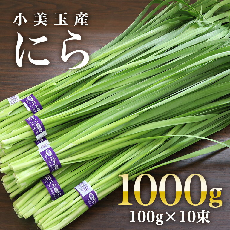 【ふるさと納税】小美玉市産にら 100g×10束 茨城 国産 ニラ 生 香味野菜 料理 惣菜 おかず 1kg 17-AA (5月～11月発送予定)