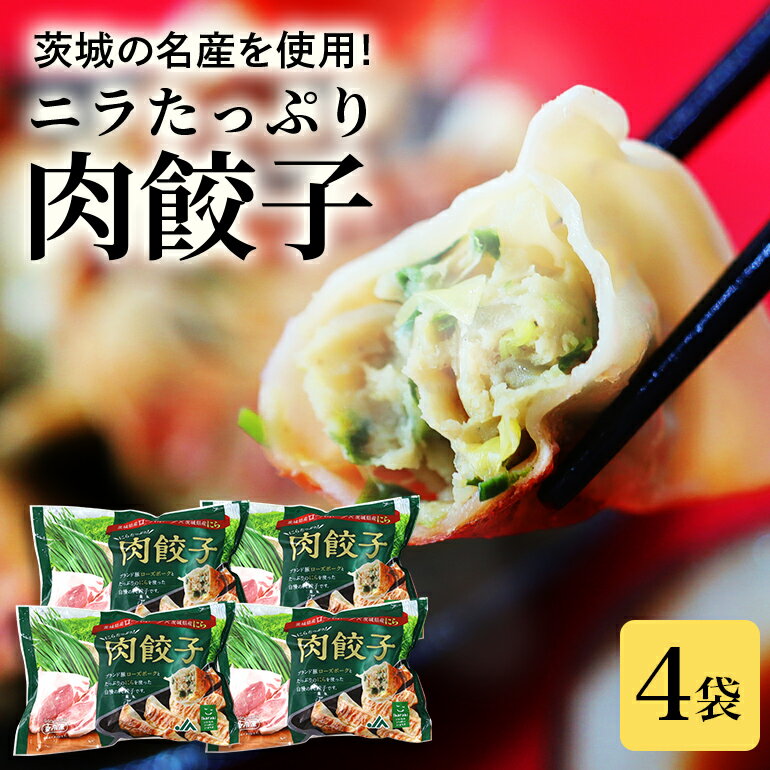 【ふるさと納税】ニラたっぷり肉餃子 4袋 ぎょうざ ギョウザ 餃子 60個 ニラ 小美玉産 ローズポーク 茨城県産 名産 冷凍 17-AB