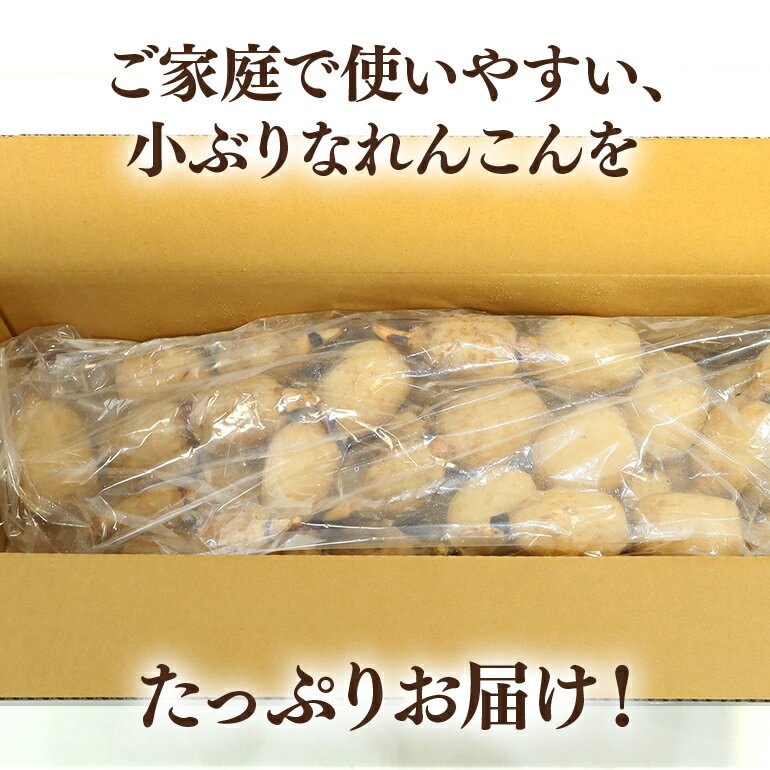 【ふるさと納税】期間限定 数量限定 ご家庭用ちょっと小さめ れんこん 約4kg れんこん レンコン 蓮根 茨城 国産 お正月 おせち 野菜 17-AF ＜11月中旬〜12月上旬発送予定＞ f082368-omitama-10000328 茨城県小美玉市 サンプル画像2