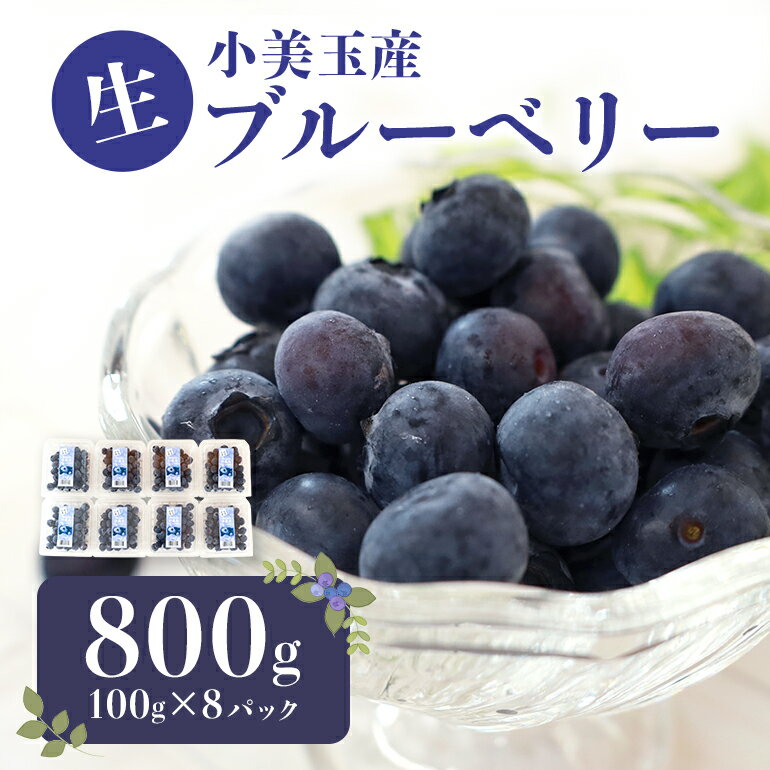 14位! 口コミ数「0件」評価「0」期間限定 数量限定 小美玉ブルーベリー 約800g （100g×8） 大粒 小分け 国産 茨城県産 冷蔵 朝採れ 朝どり 朝どれ 生果 ブル･･･ 