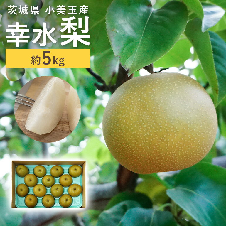 15位! 口コミ数「0件」評価「0」 数量限定 夏季限定 梨（幸水） 約5kg なし ナシ 日本梨 こうすい コウスイ 甘い ジューシー みずみずしい 【8月中旬～下旬発送予定･･･ 