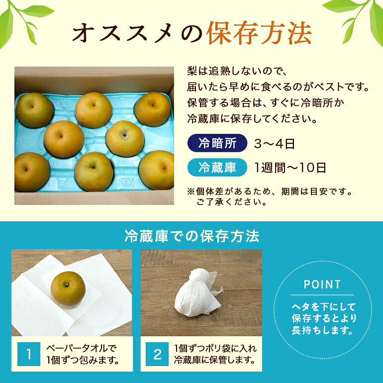 【ふるさと納税】数量限定 先行予約 2026年 梨（秋月） 約5kg ナシ なし あきづき 和梨 日本梨 秋月梨 17-X 【9月上旬〜中旬発送予定】
