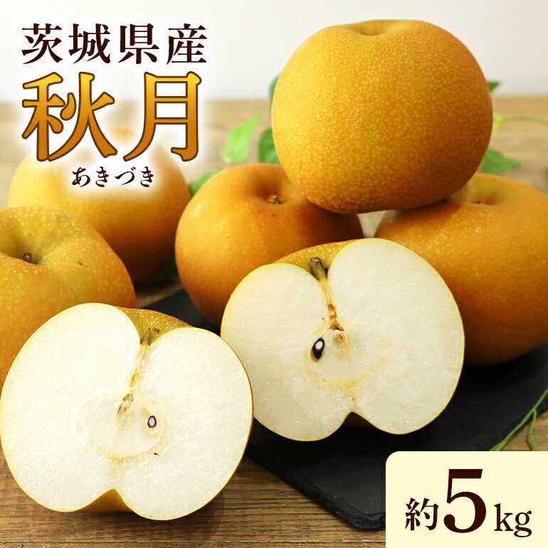 数量限定 先行予約 2025年 梨(秋月) 約5kg ナシ なし あきづき 和梨 日本梨 秋月梨 17-X [9月上旬〜中旬発送予定]