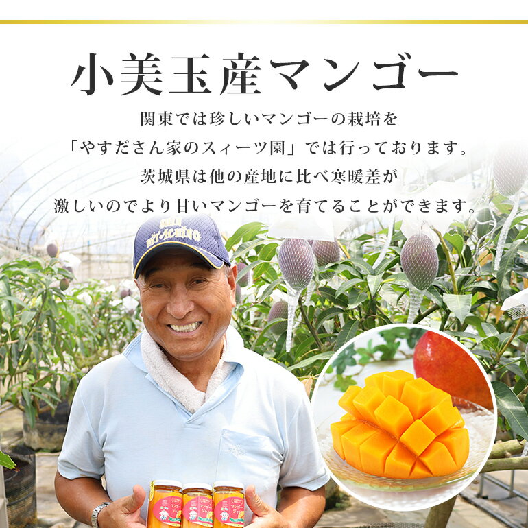 【ふるさと納税】おみたんマンゴー 約450g 数量限定 期間限定 2025年先行予約 完熟 マンゴー 国産 【7月20日～8月末まで順次発送予定】 『グッド！モーニングで紹介』 19-D