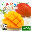 【ふるさと納税】おみたんマンゴー 約450g 数量限定 期間限定 2025年先行予約 完熟 マンゴー 国産 【7月20日~8月末まで順次発送予定】 『グッド!モーニングで紹介』 19-D