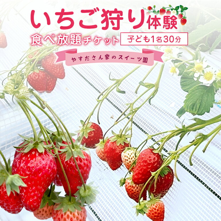 やすださん家のスイーツ園 いちご狩り体験 子ども1名30分食べ放題チケット イチゴ 苺 フルーツ 果物