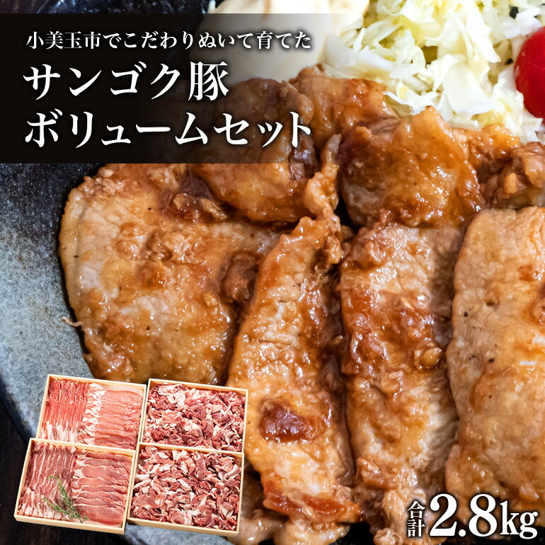 【ふるさと納税】サンゴク豚（ボリュームセット） 合計2.8kg しゃぶしゃぶ 焼き肉 豚肉 豚バラ肉 ロー..