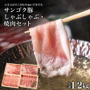 12位! 口コミ数「3件」評価「5」サンゴク豚 しゃぶしゃぶ・焼き肉セット 1.2kg 豚バラ肉 豚バラスライス ロース ローススライス 薄切り うす切り 豚肉 小分け 真空パ･･･ 