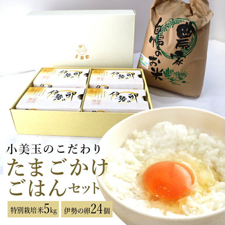 ふるさと納税 22 a こだわり たまごかけごはんセット 令和3年産 Ankitbadigar Com ふるさと納税 22 a こだわり たまごかけごはんセット 令和3年産 Ankitbadigar Com