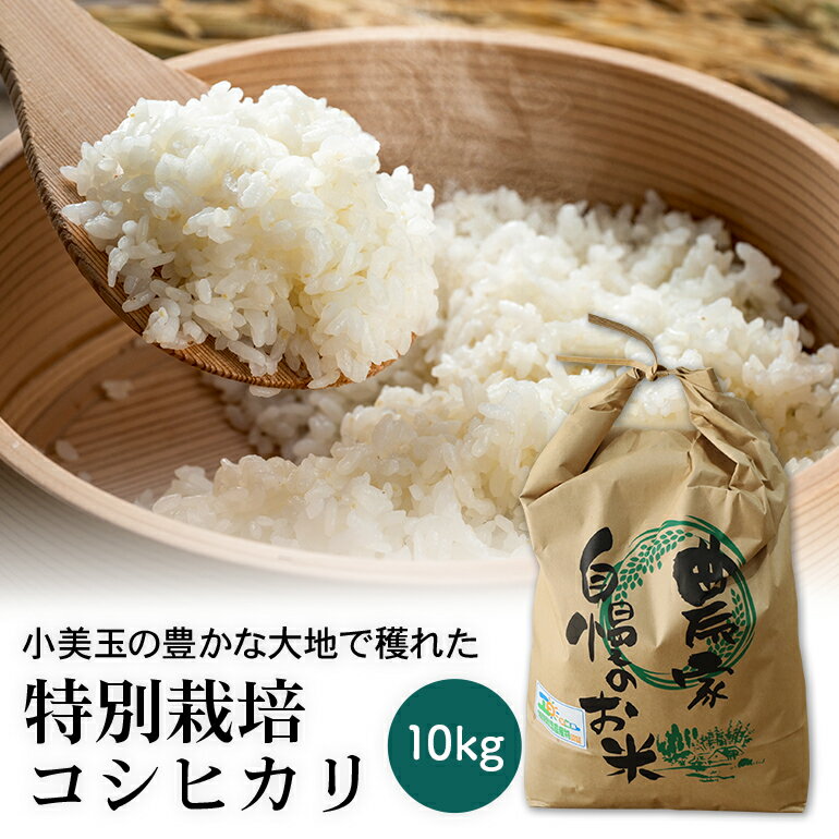 【ふるさと納税】特別栽培コシヒカリ 10kg【令和4年産】こしひかり 10キロ お米 特別栽培米 ご飯 白米 送料無料 減農薬 茨城県産米 茨城産米 精米 令和4年産米 お祝い 内祝い ギフト 22−C