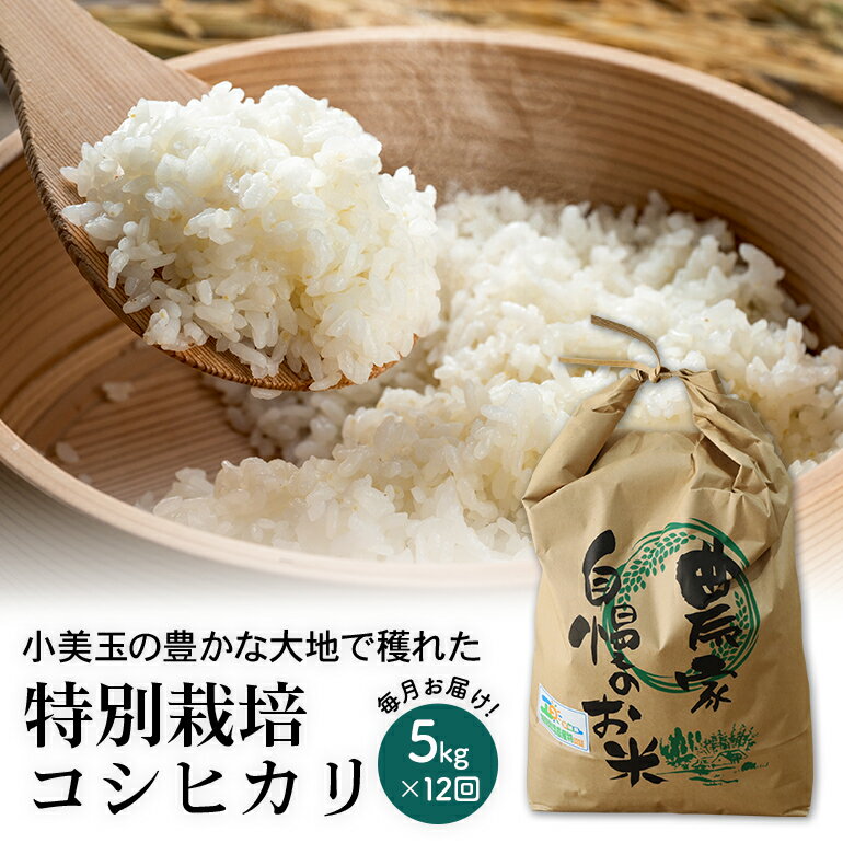 【ふるさと納税】【令和4年産】特別栽培コシヒカリ 5kg【12ヶ月定期便】 こしひかり 5キロ お米 特別栽培米 ご飯 白米 送料無料 減農薬 茨城県産米 茨城産米 精米 令和4年産米 お祝い 内祝い ギフト 22−D