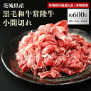 常陸牛 こま切れ 約600g（茨城県共通返礼品）小間切れ 黒毛和牛 霜降り A5ランク～B4ランク 牛肉 お肉 和牛 国産 切り落とし 600グラム 3人前 4人前 お祝い 記念日 ギフト 贈答 贈り物 内祝い お返し 食品 セット 高級 冷凍 結婚 出産祝い 誕生日 29−B