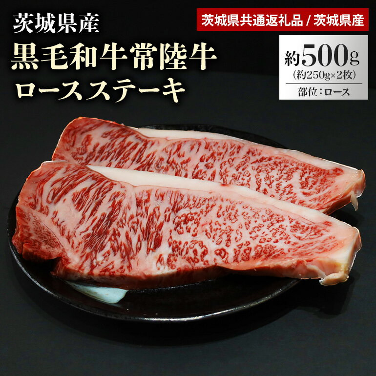 黒毛和牛常陸牛ロースステーキ 約500g(茨城県共通返礼品) 冷凍 牛肉 ロース肉 黒毛和牛 国産 高級 500グラム 2人前 お祝い 記念日 ギフト 贈答 贈り物 内祝い お祝い 誕生日 29-F