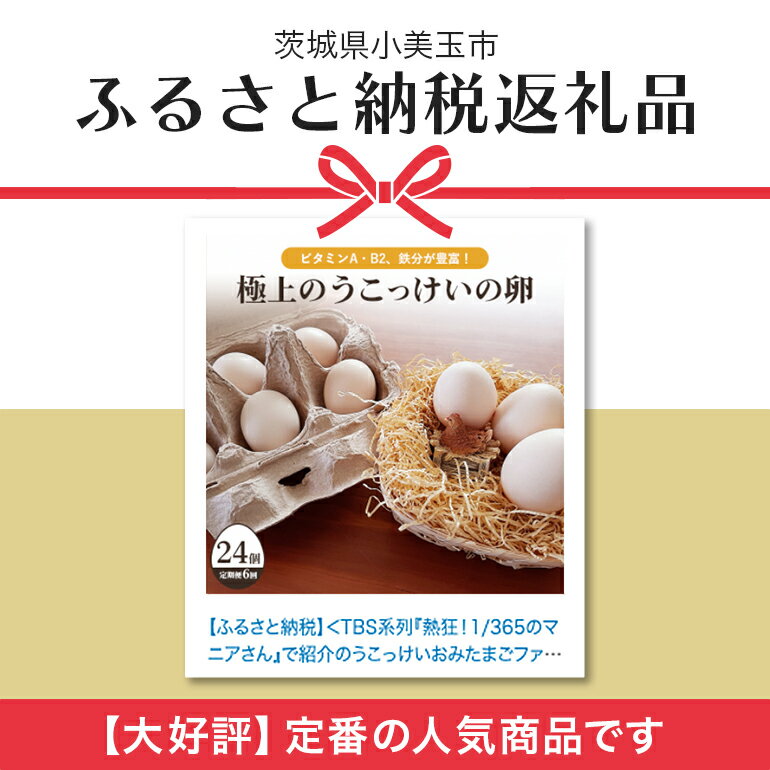 【ふるさと納税】 平飼い極上のうこっけいの卵 24個（20＋補償4個）【6ヶ月定期便】卵かけご飯 卵かけごはん TKG 卵 たまご タマゴ 玉子 烏骨鶏 烏骨鶏の卵 安全 テレビ TV マニアさん 健康 美容 ご飯 すき焼き 目玉焼き 卵焼き 玉子焼き たまご焼き 37-B