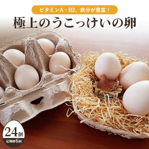 【ふるさと納税】 平飼い極上のうこっけいの卵 24個(20+補償4個)【6ヶ月定期便】卵かけご飯 卵かけごはん TKG 卵 たまご タマゴ 玉子 烏骨鶏 烏骨鶏の卵 安全 テレビ TV マニアさん 健康 美容 ご飯 すき焼き 目玉焼き 卵焼き 玉子焼き たまご焼き 37-B