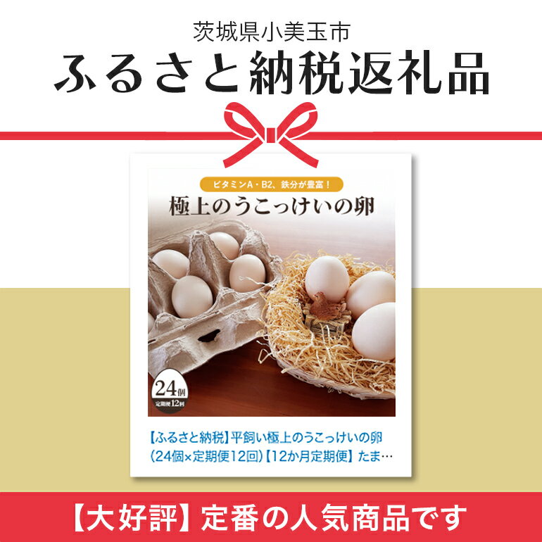 【ふるさと納税】平飼い極上のうこっけいの卵24個（20＋補償4個）×定期便12回【12か月定期便】 たまご タマゴ 玉子 烏骨鶏 烏骨鶏の卵 安全 テレビ TV マニアさん 健康 美容 ご飯 すき焼き 目玉焼き 卵焼き 玉子焼き たまご焼き 卵かけご飯 卵かけごはん TKG 37-C