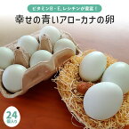 【ふるさと納税】平飼い幸せの青い卵(アローカナの卵)24個(20+補償4個) たまご タマゴ 玉子 安全 テレビ TV マニアさん 健康 美容 ご飯 すき焼き 目玉焼き 卵焼き 玉子焼き たまご焼き 卵かけご飯 卵かけごはん TKG 37-D