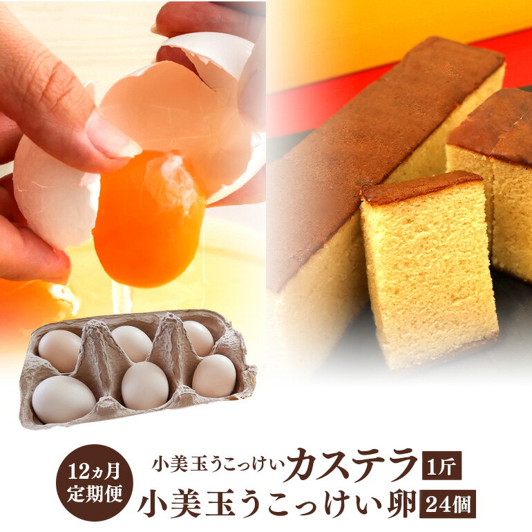 【ふるさと納税】小美玉カステラとうこっけい卵24個(20+補償4個)×定期便12回セット【12カ月定期便】 カステラ かすてら 烏骨鶏 卵 うこっけい 鶏卵 高...