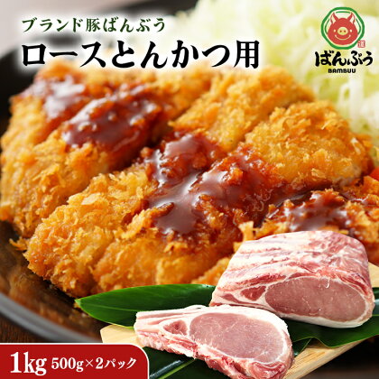 ブランド豚「ばんぶぅ」小分け ロース とんかつ用 1kg（500g×2パック） 冷凍便 1キロ 大容量 たっぷり 豚肉 豚ロース トンカツ ロースかつ ロースカツ 豚カツ ぶた肉 ブタ肉 国産 茨城県産 ギフト プレゼント お祝い ご褒美 必勝祈願 合格祈願 42－AN