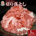 【ふるさと納税】ブランド豚「ばんぶぅ」小分け 切り落とし 1kg（500g×2パック） 冷凍便 1キロ 大容量 たっぷり 豚肉 豚切り落とし 豚切落し 豚こま切れ 豚小間切れ 豚細切れ 豚こまぎれ ぶた肉 ブタ肉 国産 茨城県産 ギフト プレゼント お祝い ご褒美 42－AT