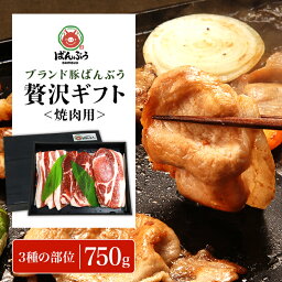 【ふるさと納税】ブランド豚「ばんぶぅ」化粧箱入りギフト 焼肉用 750g 冷凍便 750グラム 豚肉 豚ロース 豚肩ロース 豚バラ肉 豚ばら肉 スライス うす切り 薄切り 焼き肉 ぶた肉 ブタ肉 国産 茨城県産 プレゼント 贈り物 贈答品 お祝い 42-BB