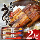 霞ヶ浦産天然うなぎ 蒲焼き 大 2尾（100～130g×2）うなぎ 国産 天然 ウナギ 鰻 約170g 国産うなぎ 国産ウナギ 国産鰻 天然うなぎ 天然ウナギ 天然鰻 茨城県産 無添加 保存料不使用 冷凍 49-B