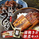 【ふるさと納税】霞ヶ浦産天然うなぎ　蒲焼き・佃煮セット 49-C